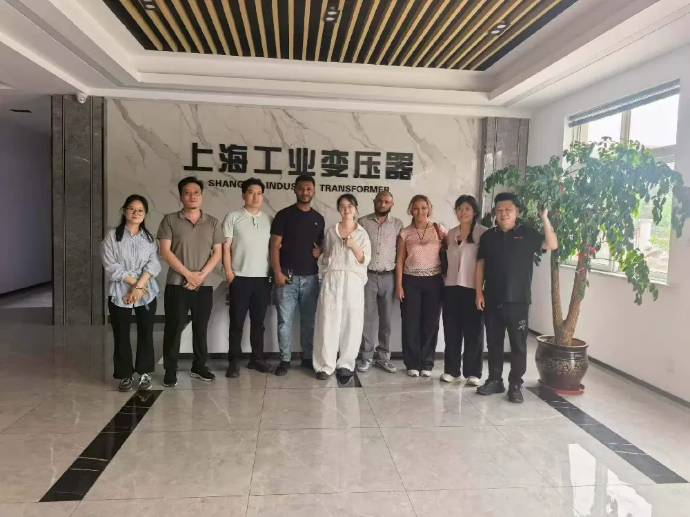 따뜻한 환영! 에티오피아 대표단, 변압기 및 배전 장비 교환을 위해 상하이 산업 변압기 유한 회사 방문